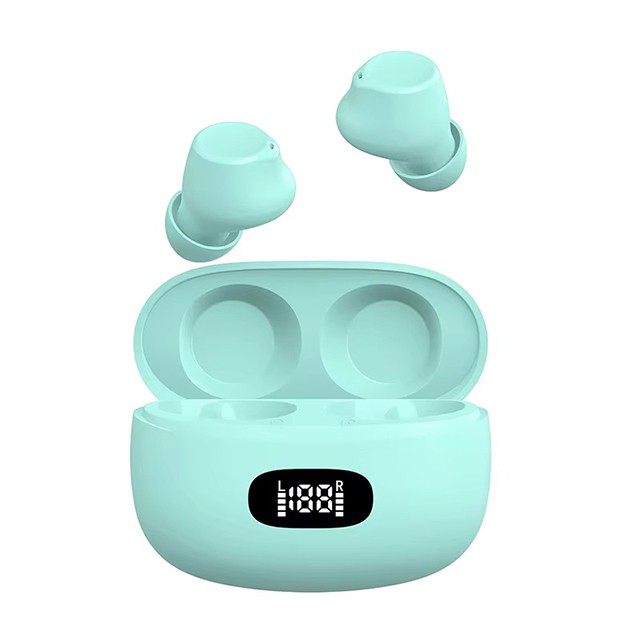 4.Digital Hearing Amplifiers